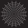 Spider web or cobweb. Halloween net background. Vector illustration