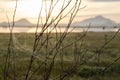 Spider web or cobweb with water drops after rain on mountain background. Royalty Free Stock Photo