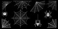 Spider web collection