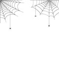 Spider Web Concept
