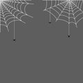 Spider web concept