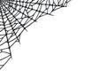 Spider Web Corner On White Background. Spooky Halloween Cobweb. Vector Illustration