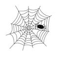 Spider web with cute little spider simple hand drawn vector outline illustration of doodle fancy Halloween scary decor element