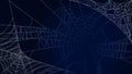 Spider Web On Dark Background Halloween Design Elements Spooky Scary Horror Decor Vector Royalty Free Stock Photo