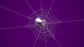 Spider Web On Dark Background Halloween Design Elements Spooky Scary Horror Decor Vector Royalty Free Stock Photo