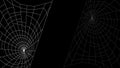 Spider Web On Dark Background Halloween Design Elements Spooky Scary Horror Decor Vector Royalty Free Stock Photo
