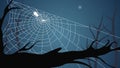 Spider Web On Dark Background Halloween Design Elements Spooky Scary Horror Decor Vector Royalty Free Stock Photo