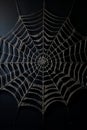 Spider web with dark background and spider's web. Generative AI Royalty Free Stock Photo
