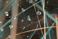 The spider web with dew drops. Abstract  nature background Royalty Free Stock Photo