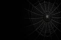 Spider web with dew drops on a black background. Space for text. Royalty Free Stock Photo