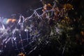 Spider web with dew drops close-up. Natural background, night scene. Cobweb ,spiderweb with water drop Royalty Free Stock Photo