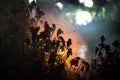 Spider web with dew drops close-up. Natural background, night scene. Cobweb ,spiderweb with water drop Royalty Free Stock Photo