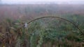 Spider web with dew drops closeup at summer morning sunrise, river Vorskla, Ukraine Royalty Free Stock Photo