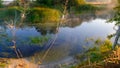 Spider web with dew drops closeup at summer morning sunrise, river Vorskla, Ukraine Royalty Free Stock Photo