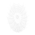 Spider Web with Dew Drops Isolated on White Background Royalty Free Stock Photo