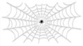 A Spider Web with Dew Drops
