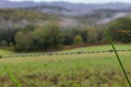 Spider web with dew with unfocused background. Water drops on web in the field. Nature close up. Autumn nature. Royalty Free Stock Photo