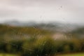 Spider web with dew with unfocused background. Water drops on web in the field. Nature close up. Autumn nature. Royalty Free Stock Photo