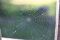 A spider web on a fence at the country side. Green grass in the background, rural setting Royalty Free Stock Photo