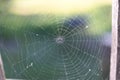 A spider web on a fence at the country side. Green grass in the background, rural setting Royalty Free Stock Photo