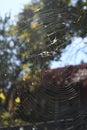 A spider web on a fence at the country side. Green grass in the background, rural setting Royalty Free Stock Photo