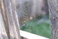 A spider web on a fence at the country side. Green grass in the background, rural setting Royalty Free Stock Photo