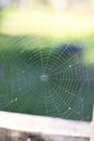 A spider web on a fence at the country side. Green grass in the background, rural setting Royalty Free Stock Photo