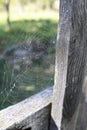 A spider web on a fence at the country side. Green grass in the background, rural setting Royalty Free Stock Photo