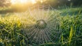 Spider web glistening in the sunlight in the middle of a grassy field generative ai Royalty Free Stock Photo
