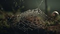 Spider web glistens with dew drops in the autumn forest generated by AI Royalty Free Stock Photo