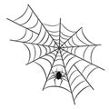 Spider on web for halloween design greeting card on white, stock vector illustration Royalty Free Stock Photo