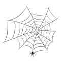 Spider on web for halloween design greeting card on white, stock vector illustration Royalty Free Stock Photo