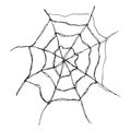 Spider web Hand drawn sketched web vector illustration isolated on white background Royalty Free Stock Photo