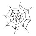 Spider web Hand drawn sketched web vector illustration isolated on white background Royalty Free Stock Photo