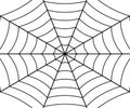 Spider web illustration Royalty Free Stock Photo