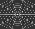 Spider web illustration Royalty Free Stock Photo