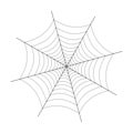 Spider web illustration Royalty Free Stock Photo