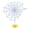 The spider and the web. Insect. Animation.