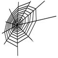 Spider web Insect cobweb spiderweb Halloween