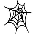 Spider web Insect cobweb spiderweb Halloween