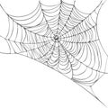 Spider web isolated on white background. Realistic hand drawn line sketch. Halloween spooky cobwebs. Outline black