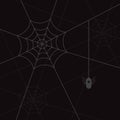 Spider web and litle spider black eps10