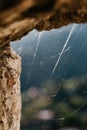 Spider web on old wall, blue background, vertical perspective Royalty Free Stock Photo