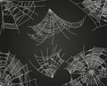 Spider web parts Royalty Free Stock Photo