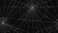 Spider Web Pattern Seamless. White Spider Web Drawings On Black Background.