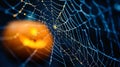 Spider web with a pumpkin and a pumpkin lantern in the center Royalty Free Stock Photo