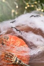 Spider web, pumpkin, skeleton hand and spiders with garland on brown and green background Royalty Free Stock Photo