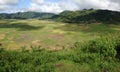 Spider Web Rice Field Royalty Free Stock Photo