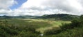 Spider Web Rice Field panorama Royalty Free Stock Photo