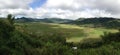 Spider Web Rice Field panorama Royalty Free Stock Photo